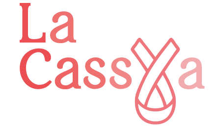 Logo Visana - Assurance maladie suisse